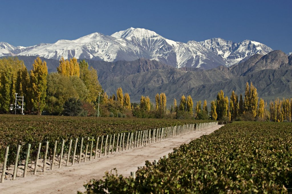 Image: Serene mountain landscape adorned with vineyards, showcasing one of the best places to stay in Mendoza. The harmonious blend of majestic peaks and lush vineyards creates a captivating scene. Immerse yourself in the beauty of Mendoza's wine region at its finest in this picturesque location.
