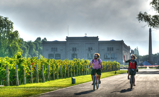 Image: Cyclists enjoying a scenic ride through the vineyards of one of the best places to stay in Mendoza. The lush green vines and breathtaking landscape create a picturesque backdrop as the cyclists explore the wine country. Experience the perfect blend of adventure and relaxation at this stunning winery.